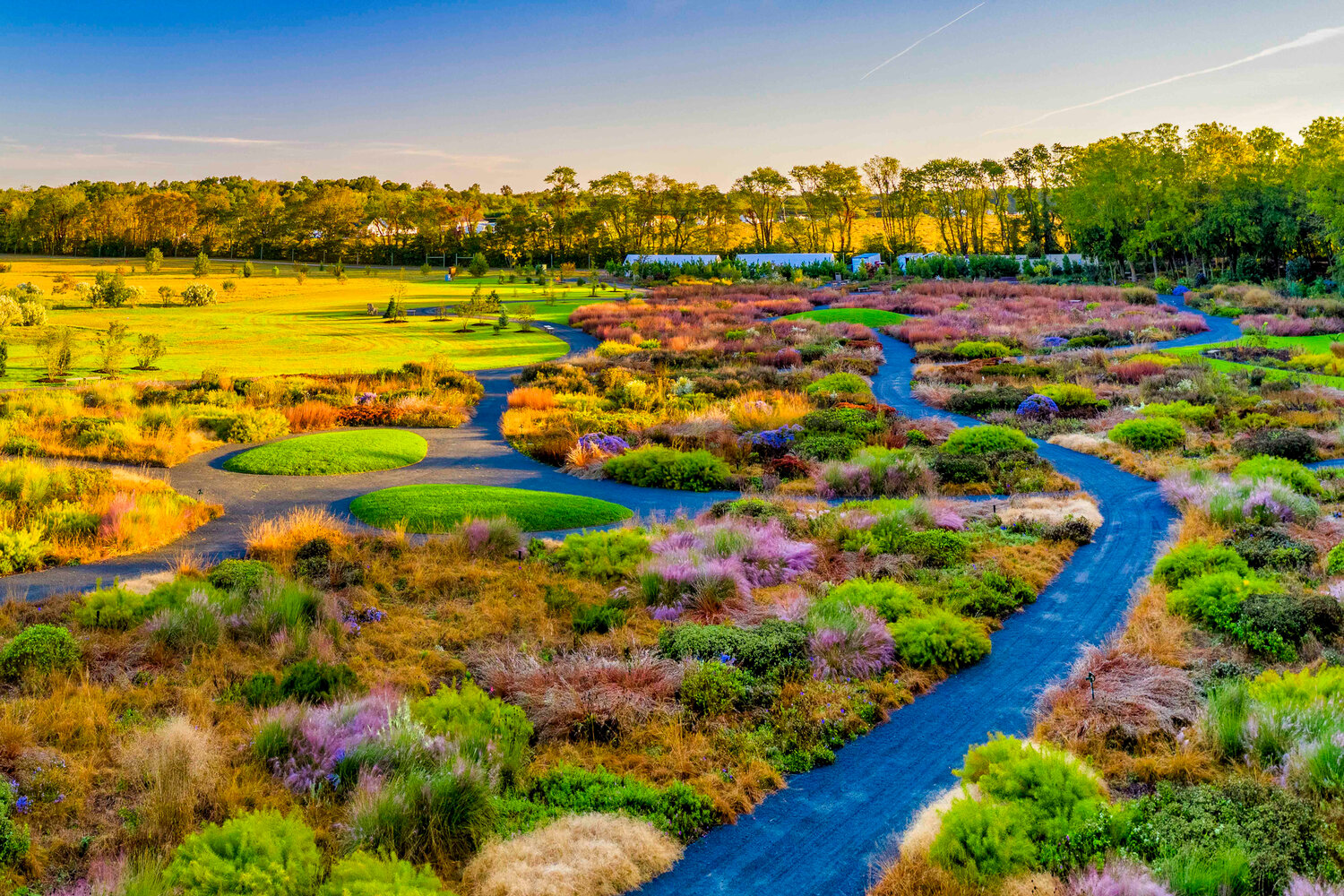 Botanic gardens offering free admission on Saturday Bay to Bay News